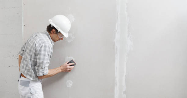 Best Black Mold Removal  in USA